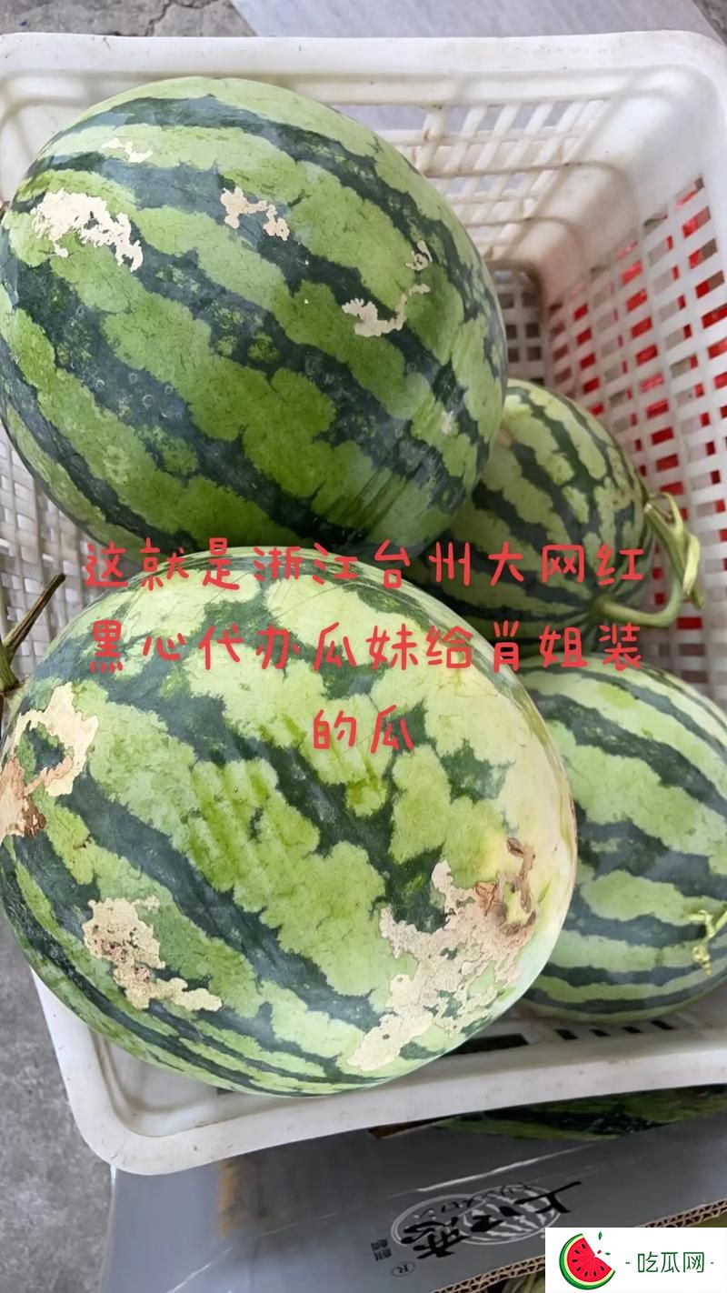 51今日大瓜 熱門大瓜,51cg今日吃瓜熱門大瓜路線最新