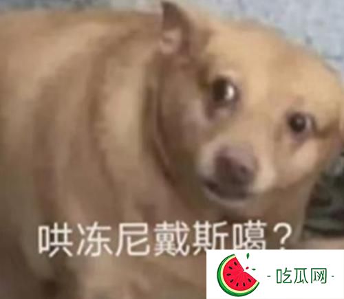 五條悟的官配cp是不是夏油杰？